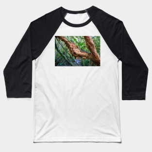 Peeling Bark. Baseball T-Shirt